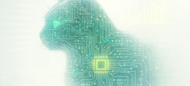 Get Statistical About Your Pet With This Cat Tracking Dashboard - Hackaday