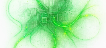 The Sims 4 &ldquo;Collector&rsquo;s Pass&rdquo; Mentioned in Official Site URL - Sims Community